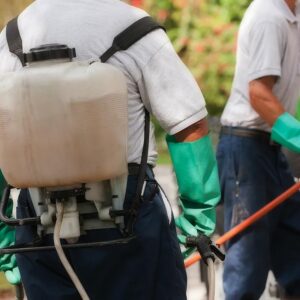 Exterminator in protective gear spraying for pests