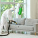 pest control cape coral